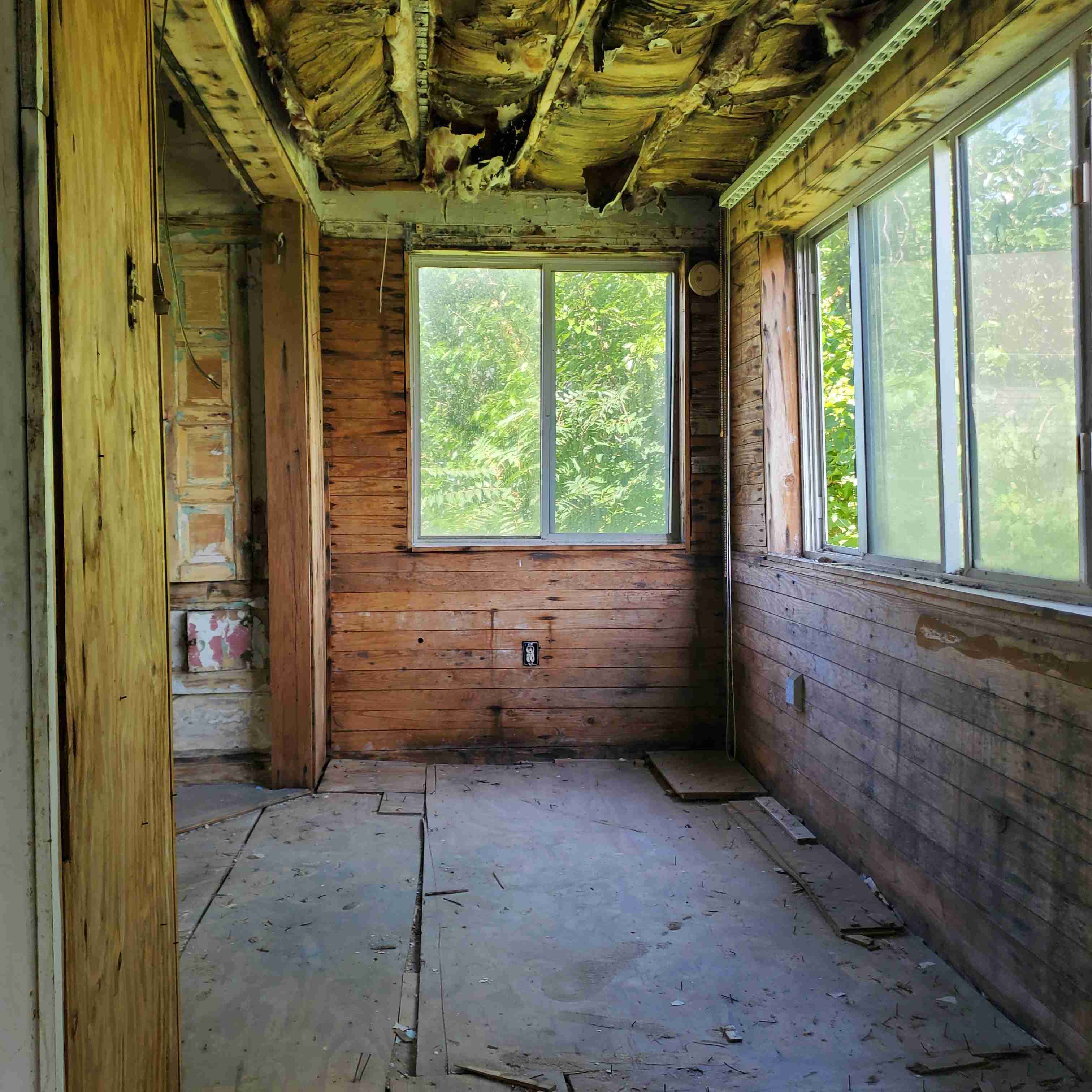 20200812_130245 (2).jpg